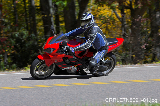 CRRLE7N8691-01.jpg