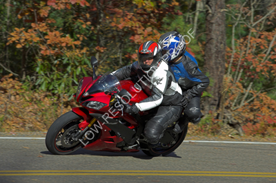 CRRLE7N9854-01.jpg