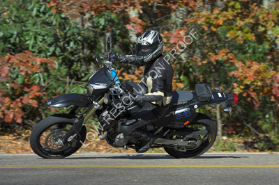 CRRLE7N9965-01.jpg