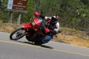 Filename=crotchrocketracingimg_4566_01.jpg
Filesize=52KiB
Dimensions=640x426
Date added=Oct 19, 2023 crotchrocketracingimg_4566_01.jpg