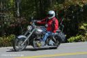 Filename=CRRLE7N7894-01.jpg
Filesize=205KiB
Dimensions=550x366
Date added=Oct 19, 2023 CRRLE7N7894-01.jpg