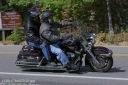 Filename=CRRLE7N8029-01.jpg
Filesize=210KiB
Dimensions=550x366
Date added=Oct 19, 2023 CRRLE7N8029-01.jpg