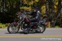 Filename=CRRLE7N8278-01.jpg
Filesize=199KiB
Dimensions=550x366
Date added=Oct 19, 2023 CRRLE7N8278-01.jpg