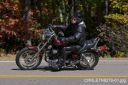 Filename=CRRLE7N8279-01.jpg
Filesize=204KiB
Dimensions=550x366
Date added=Oct 19, 2023 CRRLE7N8279-01.jpg