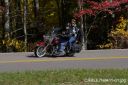 Filename=CRRLE7N8411-01.jpg
Filesize=239KiB
Dimensions=550x366
Date added=Oct 19, 2023 CRRLE7N8411-01.jpg