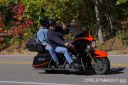 Filename=CRRLE7N8492-01.jpg
Filesize=219KiB
Dimensions=550x366
Date added=Oct 19, 2023 CRRLE7N8492-01.jpg