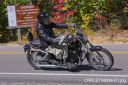 Filename=CRRLE7N8996-01.jpg
Filesize=219KiB
Dimensions=550x366
Date added=Oct 19, 2023 CRRLE7N8996-01.jpg