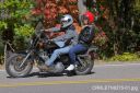 Filename=CRRLE7N9275-01.jpg
Filesize=236KiB
Dimensions=550x366
Date added=Oct 19, 2023 CRRLE7N9275-01.jpg